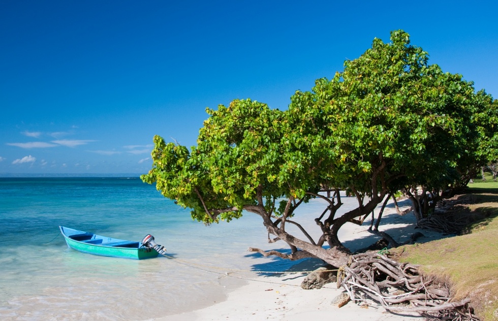 Caribbean cruise ports where you should get a resort day pass: Samaná, Dominican Republic